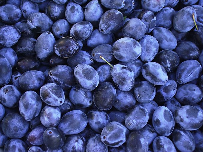 Serbian Prunes